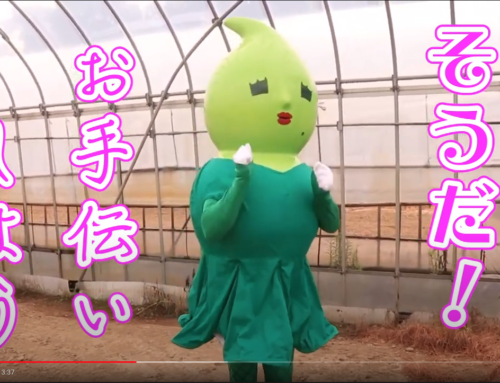 🌱マメリンの枝豆日記4🌱